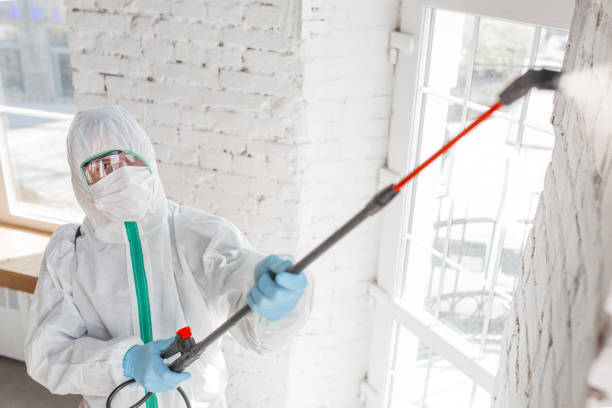 Best Mold-Related Health Consultation  in South Pasadena, FL