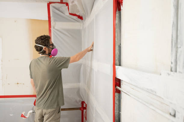 Best Commercial Mold Inspection  in South Pasadena, FL