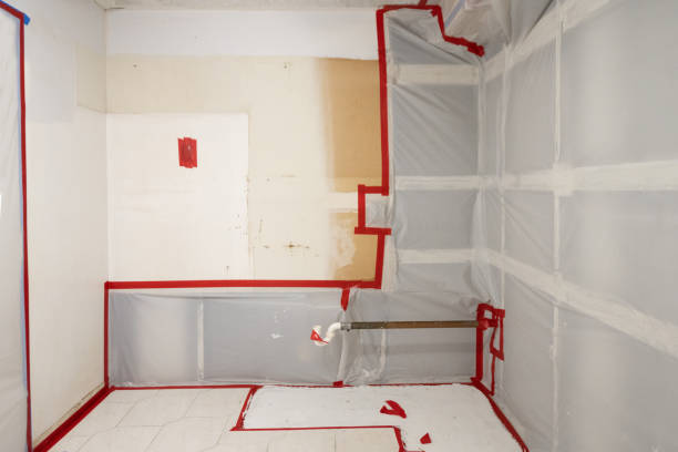 Best Post-Construction Mold Inspection  in South Pasadena, FL