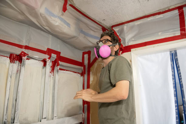 Best Mold Remediation for Rental Properties  in South Pasadena, FL