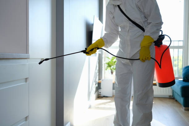 Best Mold Removal for HVAC Installations  in South Pasadena, FL