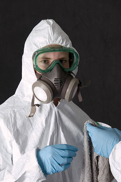 Best Biohazard Mold Removal  in South Pasadena, FL